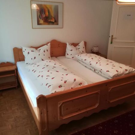 Apartment Froschkoenig Gladenbach Esterno foto